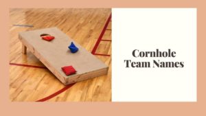 Cornhole Team Names [2024: Best, Funny, Cool & Clever] List Infographic