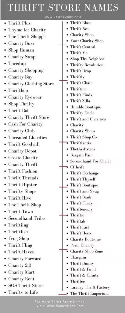 250 Clever and Catchy Thrift Store Names 