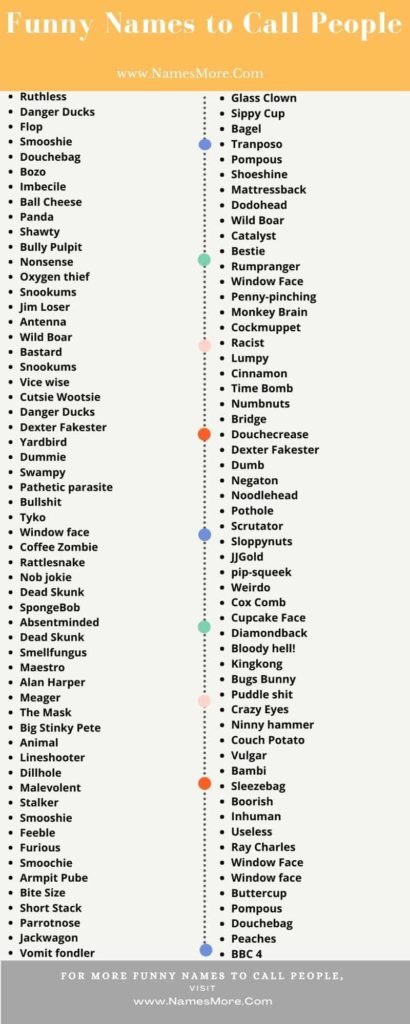 750+ Funny Names to Call People & Someone List Infographic