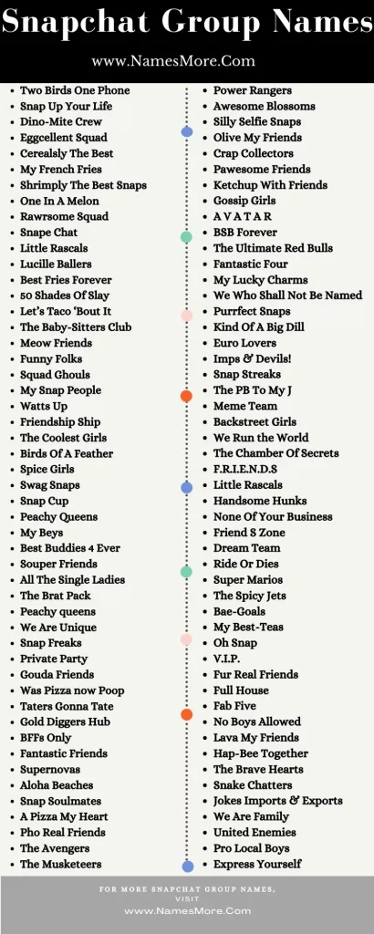 950+ Snapchat Group Names [Funny & Clever] List Infographic